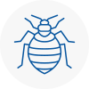 Bed Bug Extermination In Sefton Village
