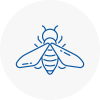 Bee Nest Removal Sefton Village