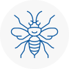 Sefton Village Hornet Nest Removals