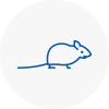Mice Exterminators In Sefton Village