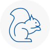 Sefton Village Rodent Removals