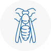 Sefton Village Wasp Nest Removal